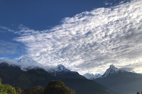 Vanuit Pokhara: 5 Daagse Poon Hill met Natuurlijke Warmwaterbron Trek