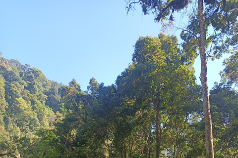 Bogor national park mount of pangrango & Jeep adventure