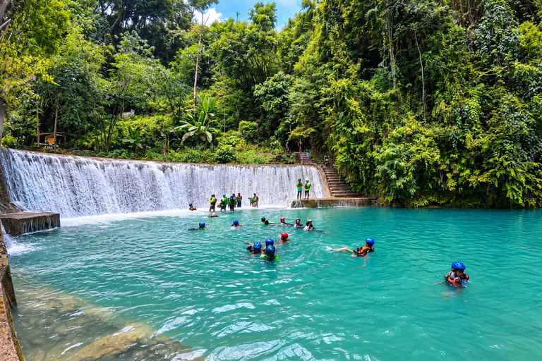 Cebu: Swim with Gentle Giants, Twin Falls & Sardine Run