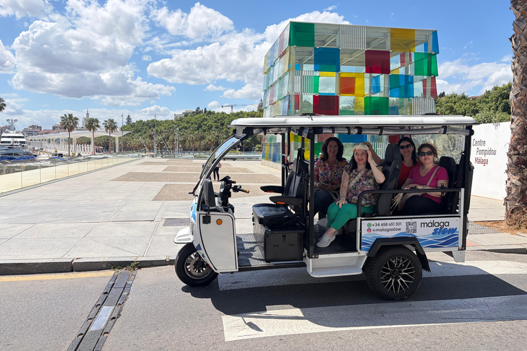 Málaga: Private Tuk Tuk Sightseeing Tour of the City and Gibralfaro