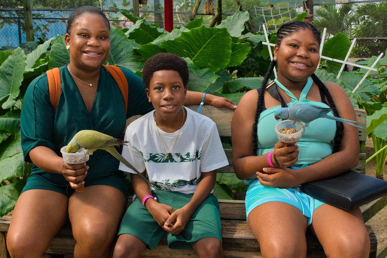 St Maarten: Fågelaviarium och naturskön körning