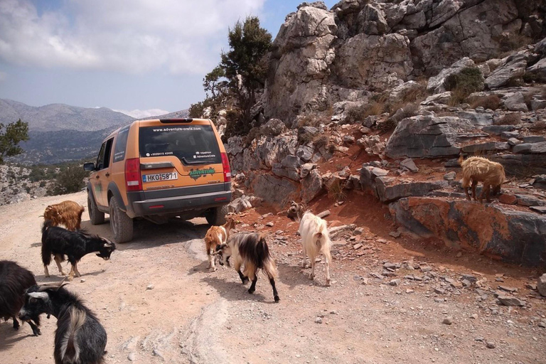 Creta: tour privado de día completo