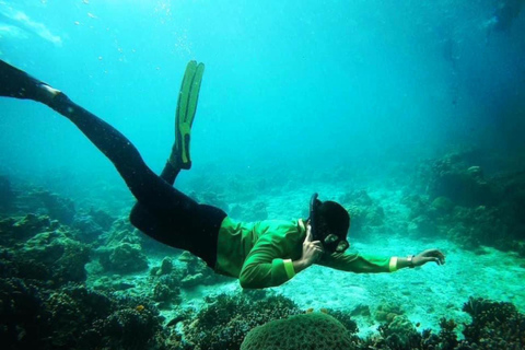 Ko Lanta: Escursione di una giornata intera con snorkeling alle isole Phi Phi e Bamboo