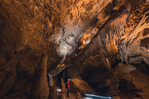 Hobart: Hastings Cave, Tahune Airwalk en Huon Proefroute