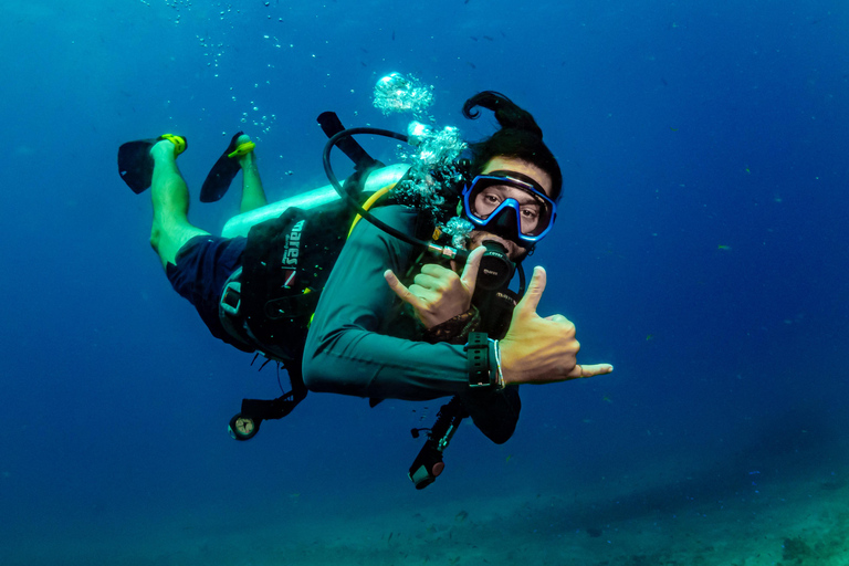 Gili Trawangan: Beginner Scuba Diving Experience W/Pick Up