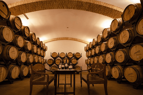 Standard Visit Huerta de Albalá Standard Visit to the Albalá Orchard