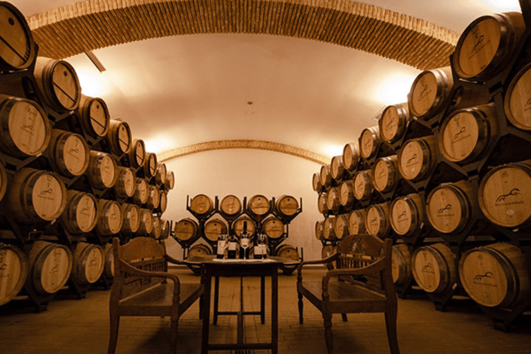 Standard Visit Huerta de Albalá Standard Visit to the Albalá Orchard