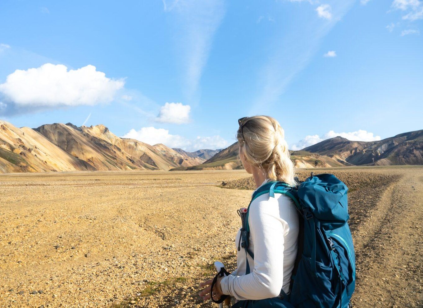 Fra Reykjavík: Dagsvandring i Landmannalaugar