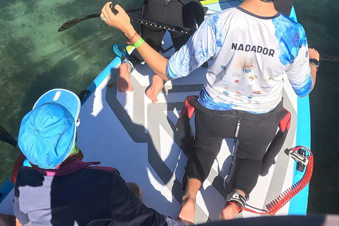 La Paz: Sea Lions & Mega-Paddleboard Tour in Balandra