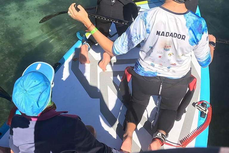 La Paz: Sea Lions & Mega-Paddleboard Tour in Balandra