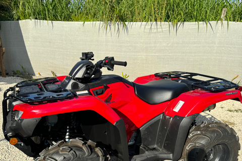 مغامرة ميامي المثالية لمركبات الدفع الرباعي في ميامي - معدات الركاب والسلامة مجاناً