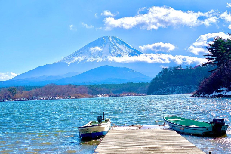 Tokyo: Mt. Fuji Tour, Hakone Ropeway, Owakudani, Lake Ashi Mt. Fuji Day Tour--Departure From Tokyo Station 8:00am