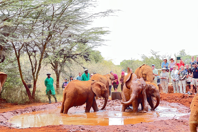 Parque Nacional de Nairóbi, Elephant Trust e Giraffe Center