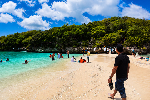 Cebu: Whale Sharks, Sumilon & Pescador Island Tour