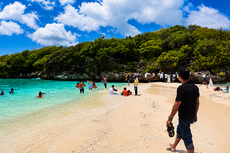 Cebu: Whale Sharks, Sumilon & Pescador Island Tour