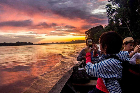 Depuis Tambopata : Randonnée dans la jungle amazonienne et lac Sandoval 1 jour