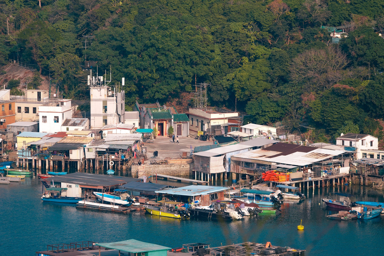 Hong Kong: Private Highlights Tour with Lunch & Hotel Pickup