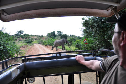 恩德培/坎帕拉：3日莫西森瀑布之旅与犀牛追踪
