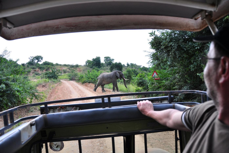 恩德培/坎帕拉：3日莫西森瀑布之旅与犀牛追踪