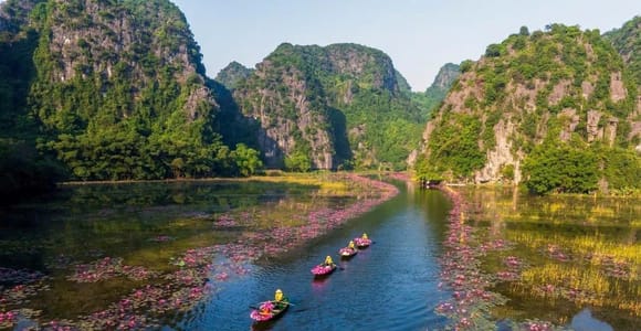 From Ninh Binh: Hoa Lu - Tam Coc Boating - Mua Cave Trek