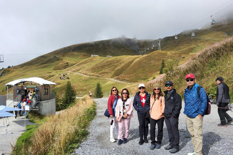 Zürich: Jungfrau Region Day Trip with Train and Hidden Gem