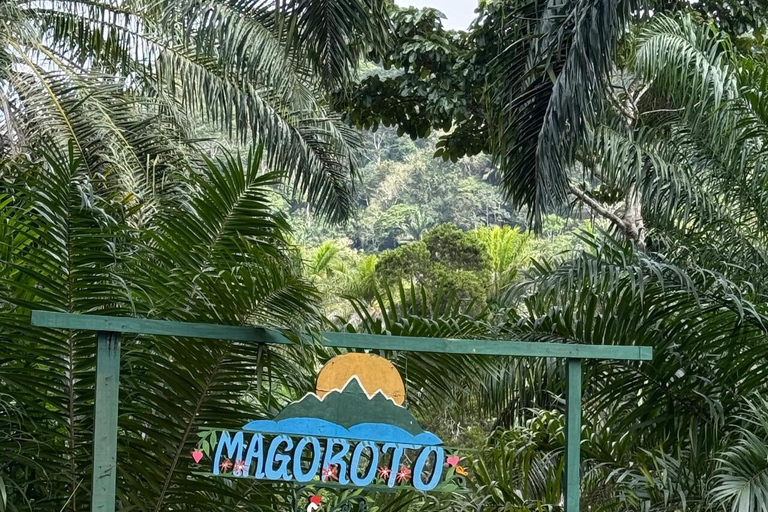 3 Tage und 2 Nächte Magoroto-Wald-Tagestour von Sansibar aus mit dem Flugzeug