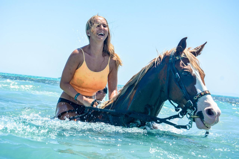 Hurghada: Desert & Sea Horse Riding Tour w/Optional Swimming 3-Hour Desert & Sea Horse Riding with Swimming ️