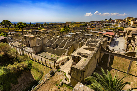 Desde Nápoles: Excursión de un día a Pompeya, Herculano y el Vesubio