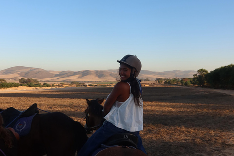 Cape Town: Mountain View Horse Trail Ride Experience 2 Hour