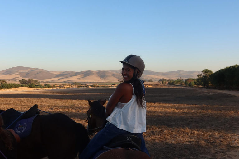 Cape Town: Mountain View Horse Trail Ride Experience 2 Hour