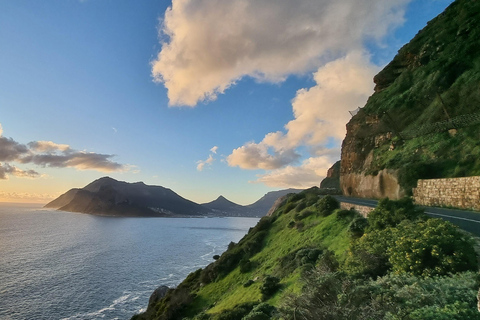 Luxury Cape of Good Hope & Penguin Tour