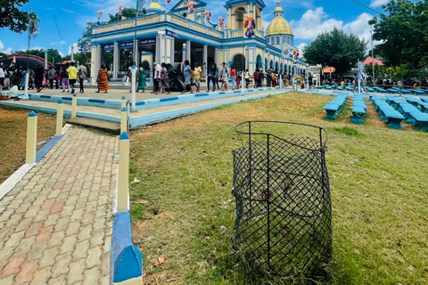 Hidden Sri Lanka 5-Day Jaffna Mannar & Trincomalee Adventure