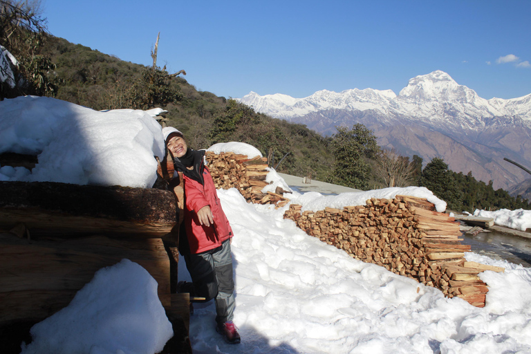 Depuis Pokhara Court : 1 nuit 2 jours Ghorepani Poon Hill Trek