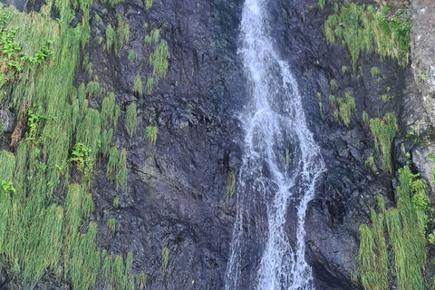 جولة يوم كامل في جزيرة ماديراجولة جزيرة ماديرا ليوم كامل