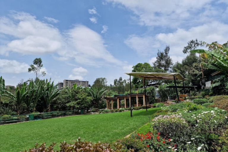Addis Ababa: Zoma Museum Art and Architecture Guided Tour