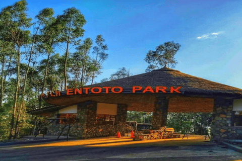 Addis Ababa: View, Park, Museum & Market Guided Walking Tour