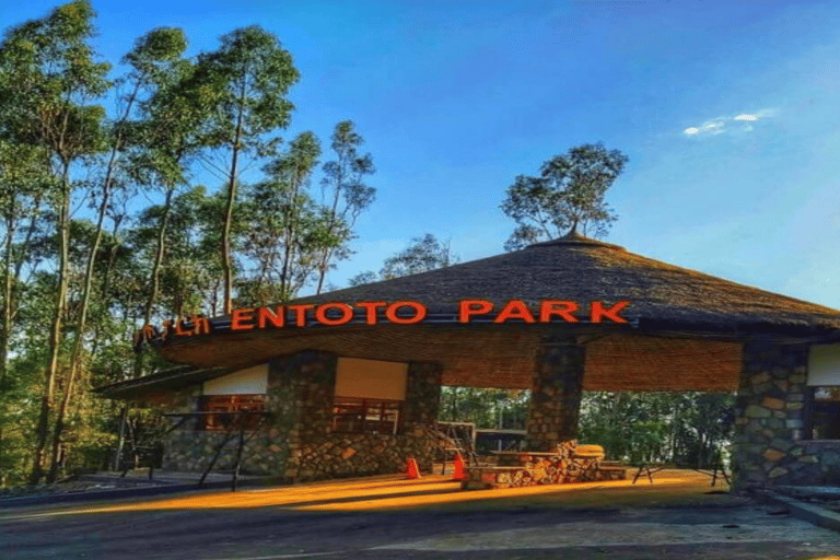 Addis Ababa: View, Park, Museum & Market Guided Walking Tour