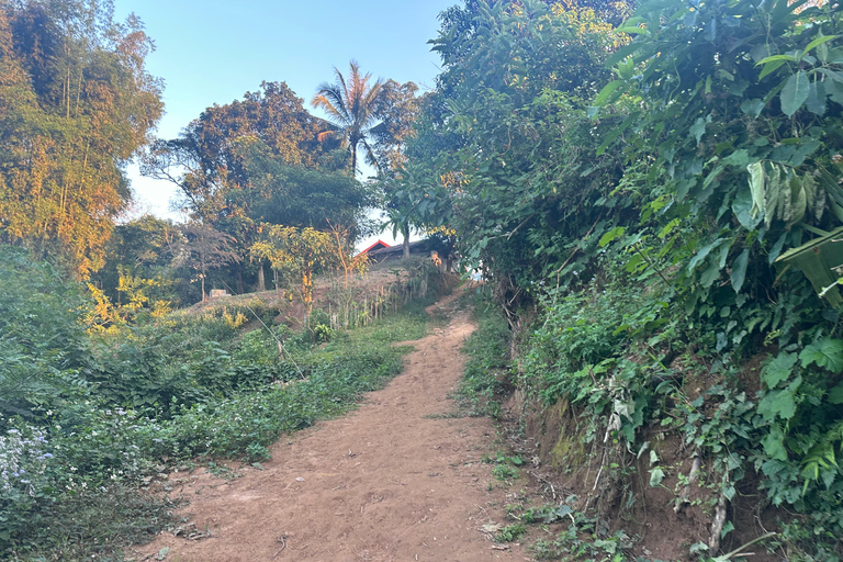 2 Day From Luang Prabang to Nong Khiaw-Camping and Trekking Pick-up and drop-off in Luang Prabang