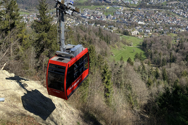 Zurich: Accompanied hike to Uetliberg