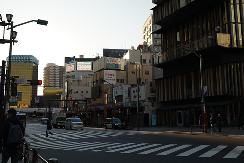 Tóquio: excursão a Asakusa, Meiji Jingu e ao mercado de peixe de TsukijiTóquio: passeio por Asakusa, Meiji Jingu e o mercado de peixe de Tsukiji