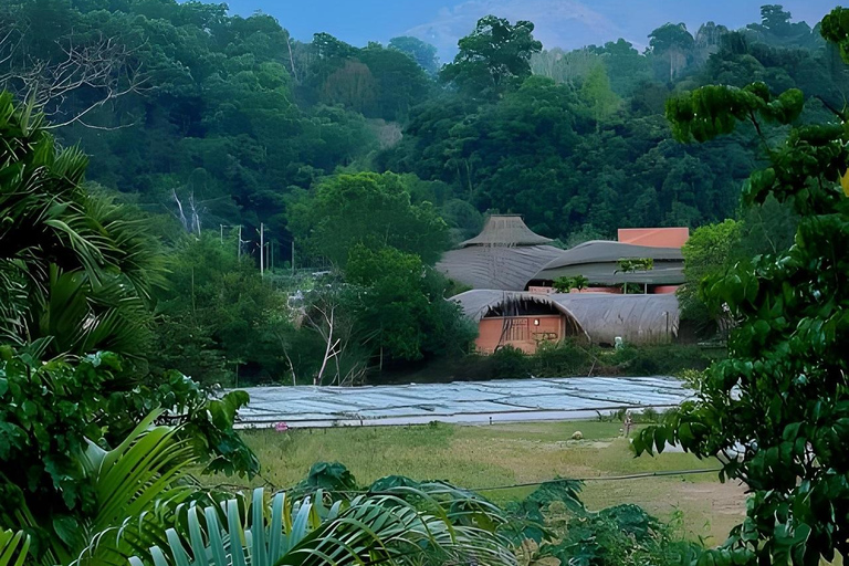 海南：亚湖梯田、黎族祠堂与徒步之旅海南：亚湖梯田、李氏宗祠与徒步之旅
