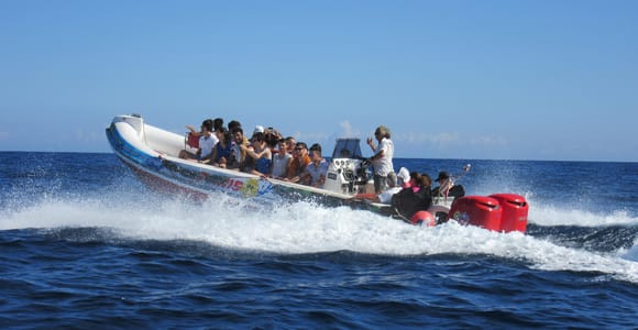 Malta: Blue Lagoon and Comino Caves Speedboat Tour