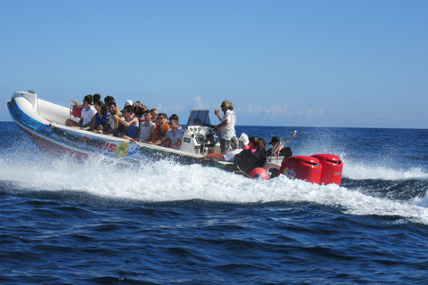 Malta: Blue Lagoon and Comino Caves Speedboat Tour