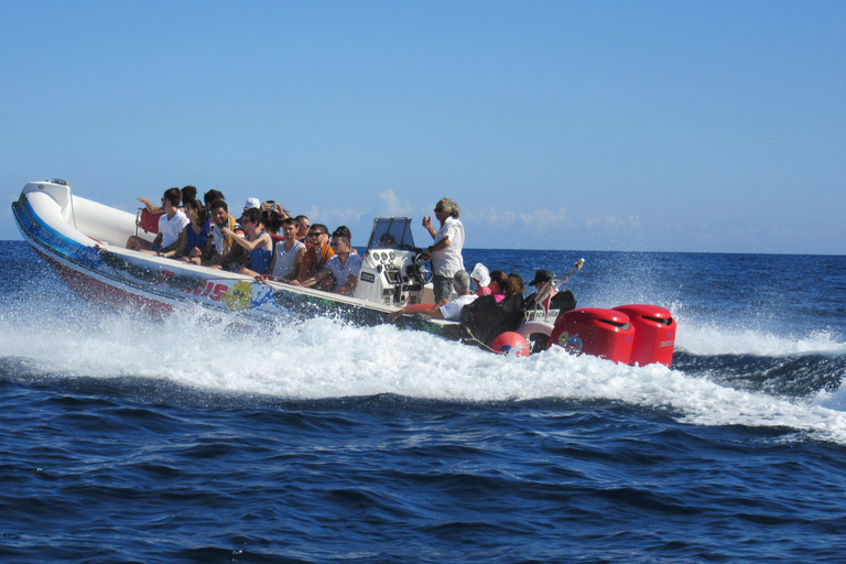 Malta: Blaue Lagune und Comino Höhlen Speedboat Tour