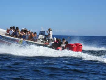 Malta: Blaue Lagune und Comino Höhlen Speedboat Tour