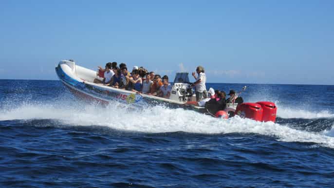 Malta: Hurtigbåttur i Den blå lagune og Comino-grottene