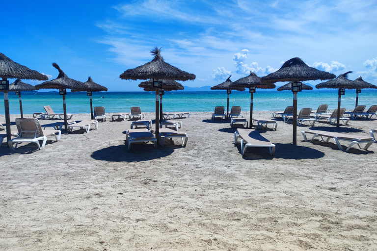 Alcudia: Spanish Course for Beginners with Activities Alcudia: 1- week Spanish Immersion Course for Beginners