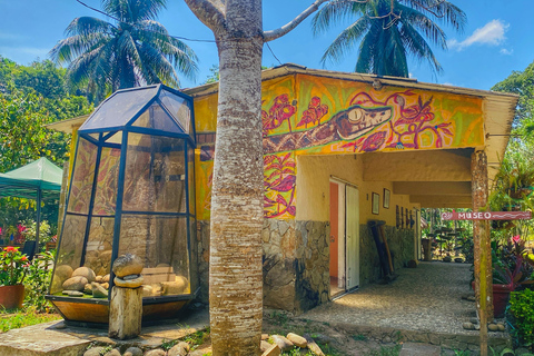 Explore the Magic of Tayronaka: Indigenous Culture, Nature and Adventure