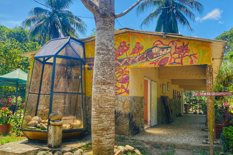 Explore the Magic of Tayronaka: Indigenous Culture, Nature and Adventure