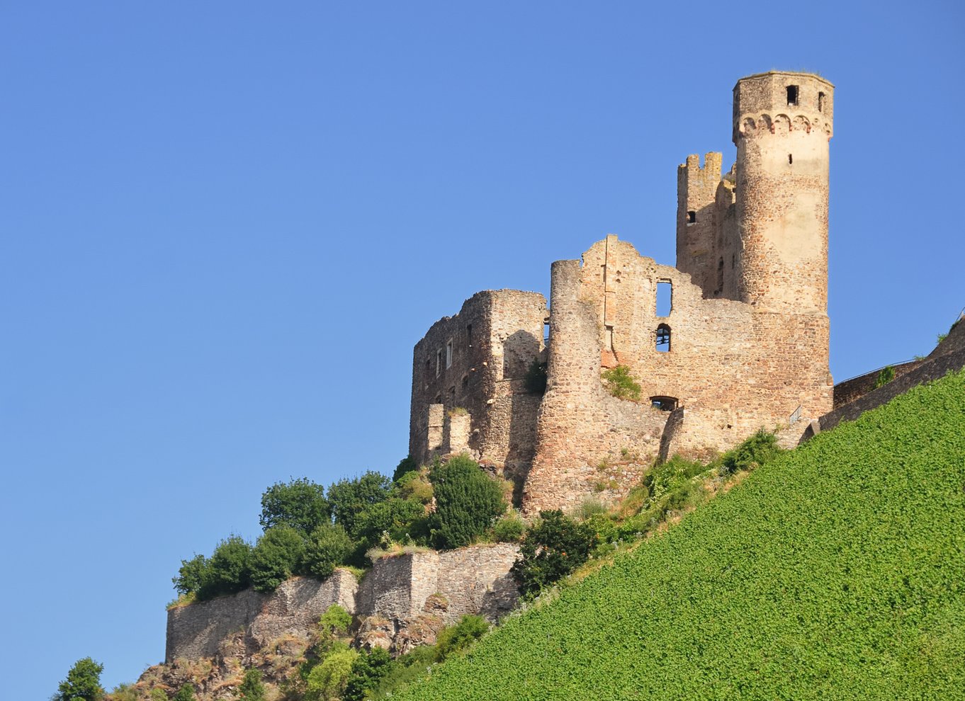 Slotte i Rhinen: 1,5-timers bådtur fra Rüdesheim